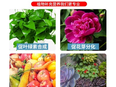 奥绿318S奥绿缓释肥通用型进口原装奥绿肥月季兰花专用肥料一号整图3