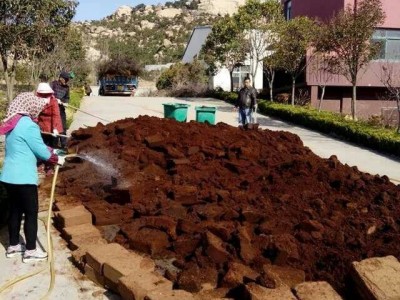 量大价格优惠 现货促销低盐度好泡发含沙土少印度产地 椰糠图4