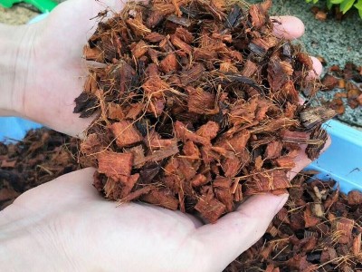 椰壳砖_椰块砖_椰壳_椰块_椰粒（用于草莓/铁皮石斛/君子兰及兰花图3