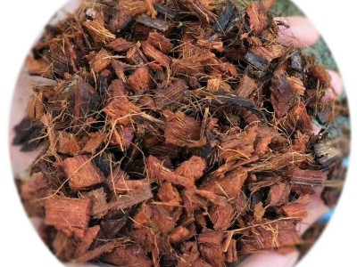 椰壳砖_椰块砖_椰壳_椰块_椰粒（用于草莓/铁皮石斛/君子兰及兰花图5