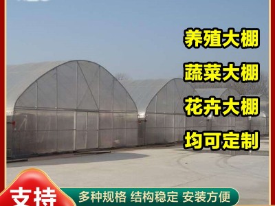 简易单体拱棚蔬菜大棚骨架加工保温大棚花卉种植大棚椭圆管大棚图2
