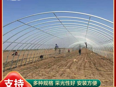 简易单体拱棚蔬菜大棚骨架加工保温大棚花卉种植大棚椭圆管大棚图4