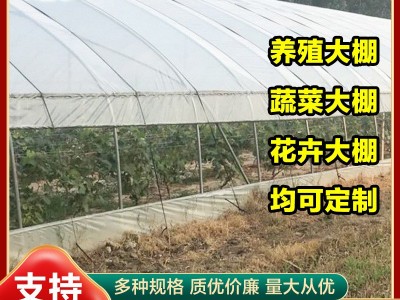 简易单体拱棚蔬菜大棚骨架加工保温大棚花卉种植大棚椭圆管大棚图3