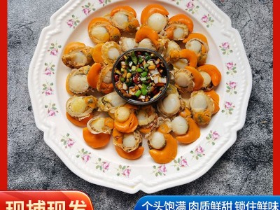 野生扇贝肉特大号扇贝肉新鲜冷冻野生扇贝全贝虾夷贝蒜蓉扇贝图3