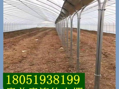 厂家批发蔬菜大棚配件 单体温棚 玻璃温室大棚架子薄膜连栋大棚管图5