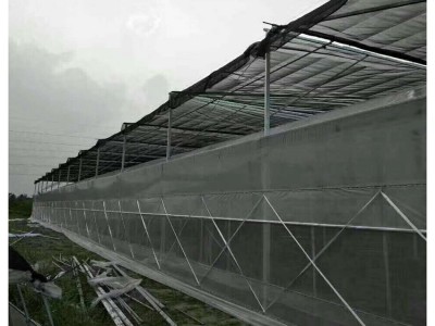 云南连栋温室大棚管 配件温室连栋大棚 黑白膜温室棚 薄膜简易棚图4