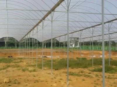 简易连栋大棚 蔬菜温室大棚 花卉育苗温室大棚外遮阳薄膜连体大棚图4