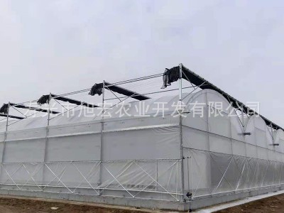 薄膜连栋温室 农业育苗多用途温室大棚 蔬菜种植养殖大棚厂家供应图1