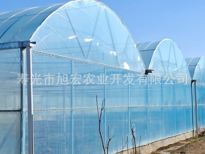 薄膜连栋温室 农业育苗多用途温室大棚 蔬菜种植养殖大棚厂家供应图2