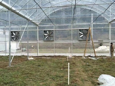 薄膜温室大棚拱棚 花卉养殖草莓采摘园大棚 蔬菜暖棚日光温室大棚图2