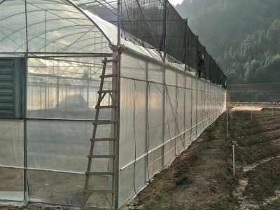 薄膜温室大棚拱棚 花卉养殖草莓采摘园大棚 蔬菜暖棚日光温室大棚图4