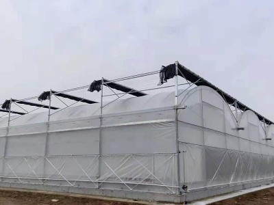 薄膜温室大棚拱棚 花卉养殖草莓采摘园大棚 蔬菜暖棚日光温室大棚图5