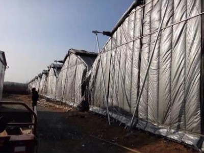 北京深顺 源头工厂 BJ838 温室大棚 抗紫外线 保温被 编织布 材料图2