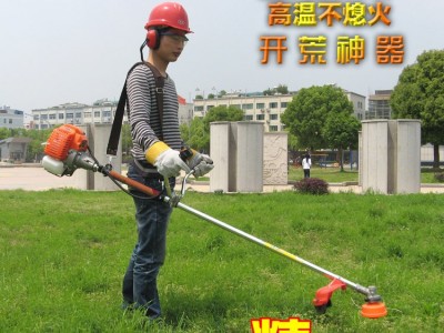 家用汽油割草机打草电动割灌机电动园林工具松土机割草機图5