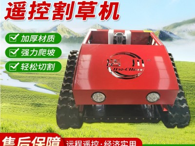 厂家小型智能遥控割草机开荒履带式割草机修剪草坪家用燃油除草机图2