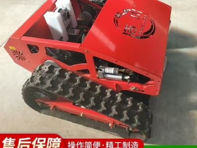 厂家小型智能遥控割草机开荒履带式割草机修剪草坪家用燃油除草机图3