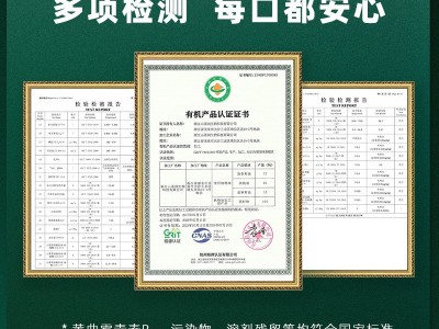 【源头厂家】核桃油亚麻籽油牛油果油山茶油食用油100ml图3