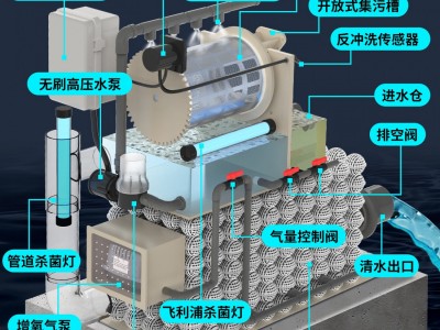 鱼池过滤器转鼓生化微滤机一体机水产锦鲤养殖场水循环免清洗系统图2