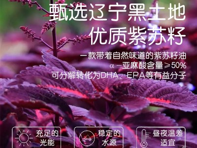 宫廷山紫苏籽油500ml纯苏子籽食用油一级冷榨亚麻酸口服凉 拌直饮图3