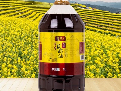 贴牌浓香菜籽油非转基因物理压榨油 四川纯正菜籽油5升食用油定制图3