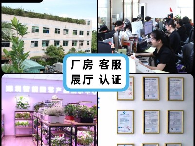 塑料花盆厂家批发长方形长条形储水懒人花盆SC06种菜盆新款北欧风图5