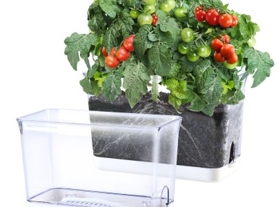 跨境批发全透明花盆植物观察盒盆栽生长透明观察盒透气透明塑料花图2