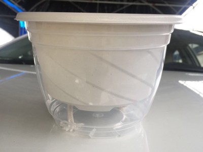 180绿萝花盆透明储水盆 盆栽花卉懒人花盆绿箩花盆自动吸水盆批发图2