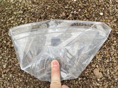 180绿萝花盆透明储水盆 盆栽花卉懒人花盆绿箩花盆自动吸水盆批发图4
