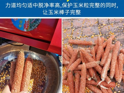 全自动家用升级款双筒电动玉米脱粒机多功能打苞谷刨粒剥玉米机器图3