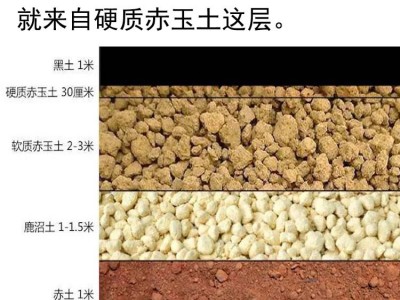 鹿沼土硬质多肉土 杜鹃 兰花 盆栽种植土1-3mm3-6mm6-9mm整包16升图4