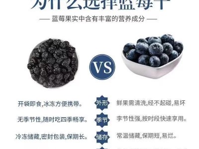 蓝莓干无糖无添加500g非特级野生蓝莓果脯东北特产蓝梅干原味烘焙图4