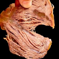 五香酱牛肉开袋即食500g真空袋装下酒菜凉拌菜卤熟食现货厂家批发