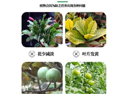 现货液体氮肥喷施高效补氮绿叶提苗持久全水溶叶面肥缓释氮肥图5