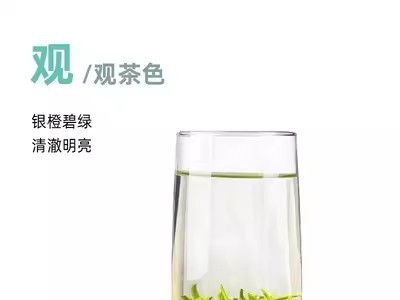 紫阳绿茶紫阳翠峰毛尖浓香炒青茶安康特产100g一袋包邮图2