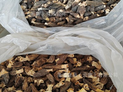云南土特产羊肚菌干货散装大货批发厂家直批新货煲汤干蘑菇羊肚菌图4
