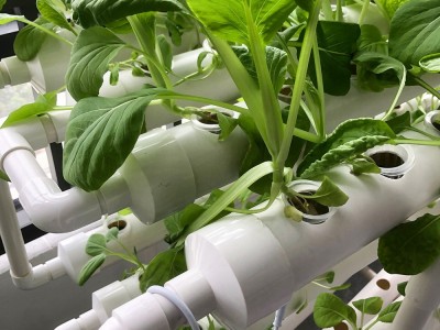 108孔无土栽培水培水耕阳台种菜设备管道种植架Hydroponics图4