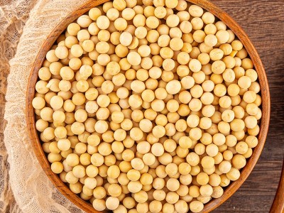 东北大粒黄豆豆腐豆浆原料东北大豆农家自种五谷杂粮一件代发批发图4
