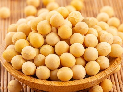 东北大粒黄豆豆腐豆浆原料东北大豆农家自种五谷杂粮一件代发批发图2