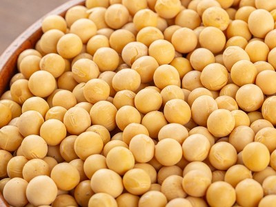 东北大粒黄豆豆腐豆浆原料东北大豆农家自种五谷杂粮一件代发批发图3