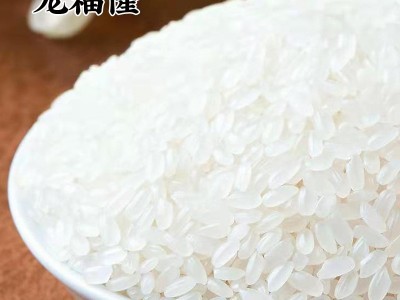 黑龙江五常大米当季新米东北大米长粒香米5斤10斤多规格便宜包邮图3