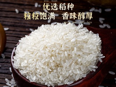 圣上壹品金奖有机东北黑龙江五常大米5kg真空包装10斤好品质图3