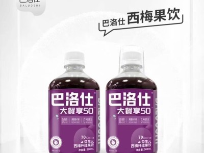 巴洛仕西梅汁（瓶装）500ml*24瓶大餐享SO图2