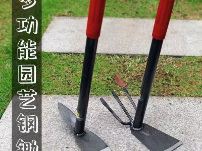 园林工具小锄头 小载锄 两用锄 三齿耙 种花种菜锄头 尖头锄图3