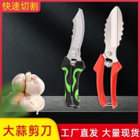 大蒜剪农用剪刀碳钢大蒜剪刀工厂批发洋葱蒜头苗根茎大头剪刀农用
