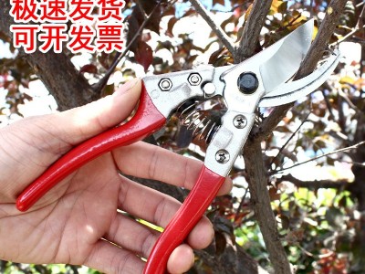 厂家批发 园林剪果枝剪多功能省力V8SK5修枝剪粗枝盆栽剪园艺工具图2