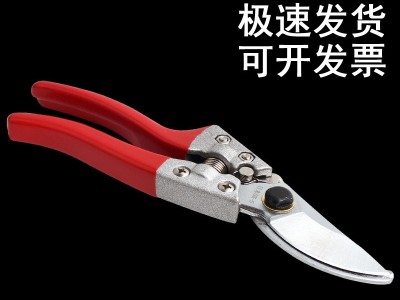 厂家批发 园林剪果枝剪多功能省力V8SK5修枝剪粗枝盆栽剪园艺工具图5
