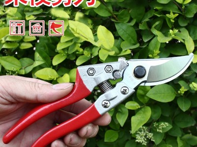 厂家批发 园林剪果枝剪多功能省力V8SK5修枝剪粗枝盆栽剪园艺工具图3