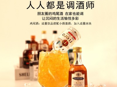 小洋酒套装便利店厂家批发调酒迷你小瓶伏特加百利甜基酒白兰地图3