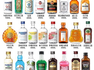 小洋酒套装便利店厂家批发调酒迷你小瓶伏特加百利甜基酒白兰地图4