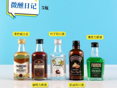 小洋酒套装便利店厂家批发调酒迷你小瓶伏特加百利甜基酒白兰地图5